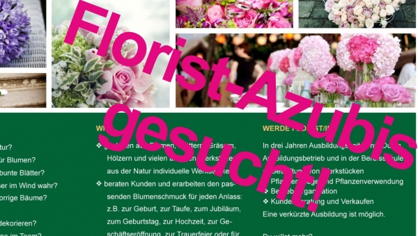 Florist-Azubis gesucht!